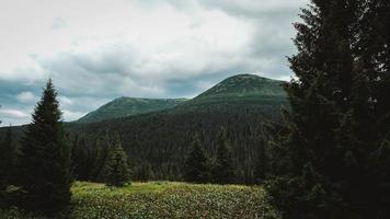 Grüne Berge von Karpaten mitten im Wald vor dem Hintergrund eines dramatischen Himmels foto