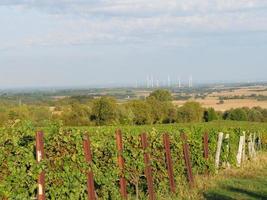 Dörrenbach in der deutschen pfalz foto