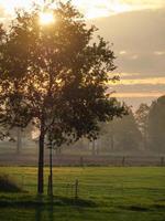 Herbstzeit in Westfalen foto