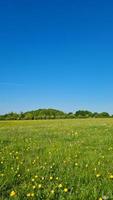 Low-Winkel-Aufnahmen von britischen landwirtschaftlichen Betrieben und Landschaften, foto