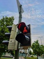 grüne und rote Ampeln für Fußgänger und Fahrräder foto