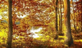 Wunderschöner Panoramablick auf eine goldene Herbstlandschaft in Europa foto