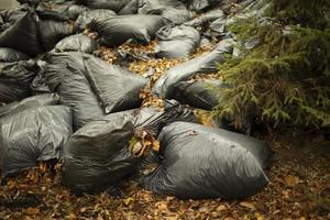 Müllsäcke. schwarze Abfallsäcke. Müllkippe. foto