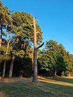 schöne aussicht auf stockwood park a luton, den frei zugänglichen öffentlichen park und golfspielplatz in south luton, in der nähe der autobahnkreuzung von 10 m1. foto