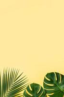 schöne tropische palme monstera verlässt zweig isoliert auf pastellgelbem hintergrund, draufsicht, flache lage, überkopf über leerem designkonzept der sommerschönheit. foto