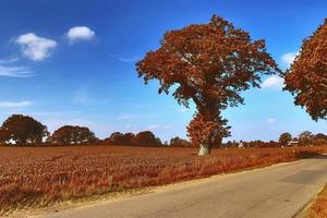 Wunderschöner Panoramablick auf eine goldene Herbstlandschaft in Europa foto