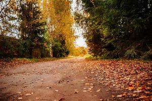Herbststraße mit Blättern übersät foto