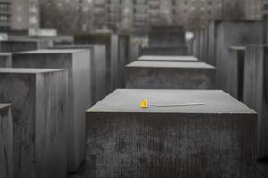 Blume zum Gedenken an die ermordeten Juden Europas in Berlin, Deutschland foto