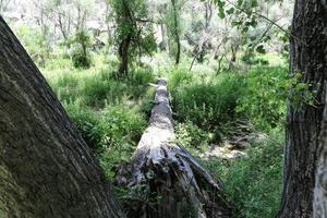 Ihlara-Tal in Kappadokien, Türkei foto