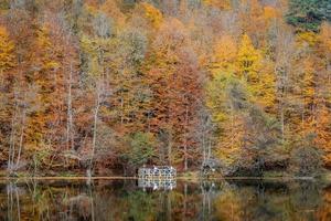 Büyük-See im Yedigöller-Nationalpark, Türkei foto