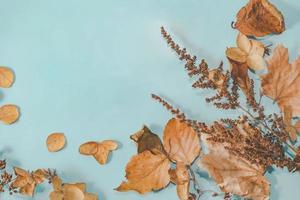 Herbstkomposition. herbstlaub auf hellblauem pastellhintergrund. flache Lage, Kopierraum von oben. foto
