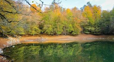 Nazli-See im Yedigoller-Nationalpark, Türkei foto