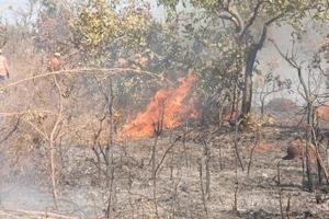 Ein Buschfeuer in der Nähe des Karriri-Xoco- und Tuxa-Indianerreservats im nordwestlichen Teil von Brasilia, Brasilien foto