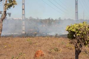 Ein Buschfeuer in der Nähe des Karriri-Xoco- und Tuxa-Indianerreservats im nordwestlichen Teil von Brasilia, Brasilien foto