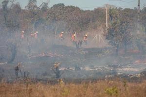 Ein Buschfeuer in der Nähe des Karriri-Xoco- und Tuxa-Indianerreservats im nordwestlichen Teil von Brasilia, Brasilien foto