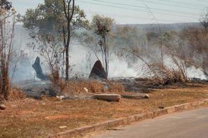 Ein Buschfeuer in der Nähe des Karriri-Xoco- und Tuxa-Indianerreservats im nordwestlichen Teil von Brasilia, Brasilien foto