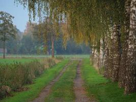 Herbstzeit in Westfalen foto