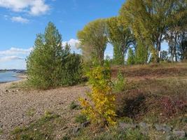 der rhein bei wesel foto