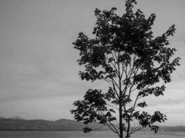 die bayerische stadt lindau foto