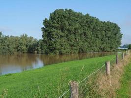 der rhein bei bislich foto