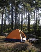 wildes campen - kleines orangefarbenes zelt in einem wald in schweden foto