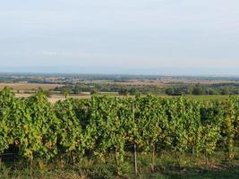 Dörrenbach in der deutschen pfalz foto