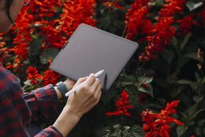 landwirtschaftstechnologie bäuerin mit tablet- oder tablet-technologie, um über landwirtschaftliche probleme zu recherchieren, analysedaten und visuelle symbole. foto