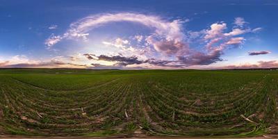 Vollständiges, nahtloses sphärisches HDRI-Panorama 360-Grad-Winkelansicht zwischen Feldern am Frühlingsabend vor Sonnenuntergang mit fantastischen Wolken in equirectangularer Projektion, bereit für VR-AR-Virtual-Reality-Inhalte foto