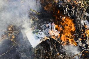 brennendes fotobuch im lagerfeuer von zweigen foto