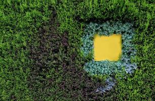 leere gelbe Beschilderung auf grüner Naturwandstruktur foto