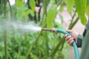 Bewässerung von Pflanzen im Garten foto