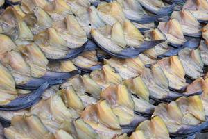 sonnengetrockneter gesalzener Fisch foto