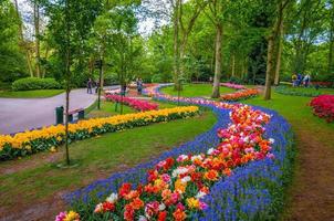 bunte blumenpfade, keukenhof park, lisse in holland foto