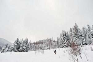 Mann an Kiefern, die in den Karpaten von Schnee bedeckt sind. wunderschöne Winterlandschaften. Frost Natur. foto