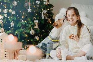 entzückendes frohes weibliches kind trinkt milch und isst kekse, hat wunderbare zeit zusammen mit lieblingshund, bekommt kuss vom haustier, sitzt neben geschmücktem weihnachtsbaum, hat festliche stimmung. Winterferien foto