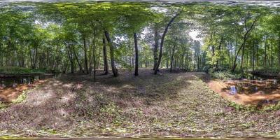 Vollständiges, nahtloses sphärisches HDRI-Panorama 360-Grad-Winkelansicht zwischen den Büschen und Bäumen des Waldes in der Nähe eines kleinen Flusses in equirectangularer Projektion, fertiger vr ar-Inhalt der virtuellen Realität foto
