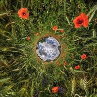 Umkehrung der kleinen Planetentransformation des sphärischen Panoramas 360 Grad. sphärische abstrakte luftaufnahme im mohnfeld mit fantastischen schönen wolken. Krümmung des Raumes. foto