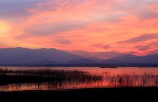 Sonnenuntergang-Silhouette-Baum auf dem See foto