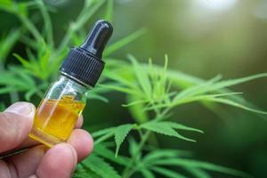 cbd-hanföl, arzt mit einer flasche hanföl, medizinische marihuana-produkte einschließlich cannabisblatt, cbd- und hashöl, alternative medizin foto