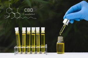cannabidiol cbd öl chemische formel. Ein Tropfen Hanföl, das aus dem Hanfblatt kommt, medizinisches Cannabiskonzept. foto