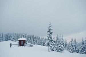 hölzerne kleine kirchenkapelle an schneebedeckten kiefern auf dem berg chomiak. schöne winterlandschaften der karpaten, ukraine. Frost Natur. foto