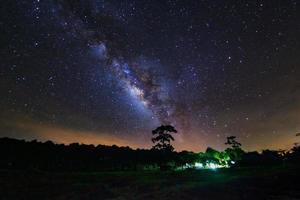 milchstraße und silhouette des baums im phu hin rong kla nationalpark, phitsanulok thailand, langzeitbelichtungsfoto. mit korn foto