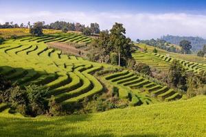 grünes terrassenförmig angelegtes Reisfeld bei Ban Pa Bong Peay in Chiangmai, Thailand foto