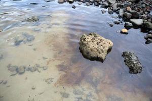 Golfölpest wird an einem Strand gezeigt foto