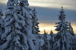 Bergwinterlandschaft foto