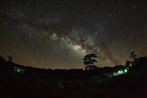 silhouette von baum und milchstraße im phu hin rong kla nationalpark, phitsanulok thailand.langzeitbelichtungsfoto foto