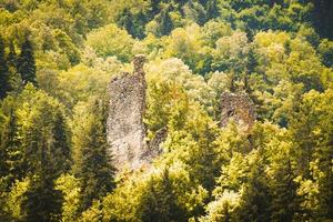 kaviani burgruinen in high adjara. georgia historische wahrzeichen foto