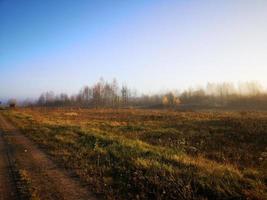 Herbststraße. blauer Abendhimmel foto