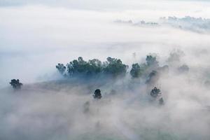 nebel im morgendlichen sonnenaufgang am khao takhian ngo aussichtspunkt in khao-kho phetchabun, thailand foto