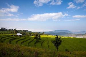 grünes terrassenförmig angelegtes Reisfeld bei Ban Pa Bong Peay in Chiangmai, Thailand foto